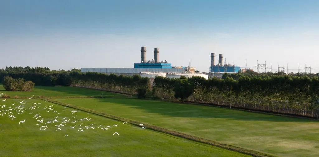 GULF energy infrastructure powering sustainable growth in harmony with nature