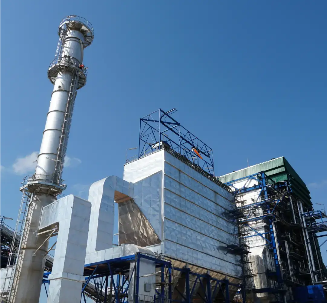Biomass power project