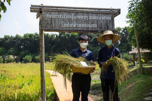 GULF promotes sustainable rice farming practices and empowers farmers ...