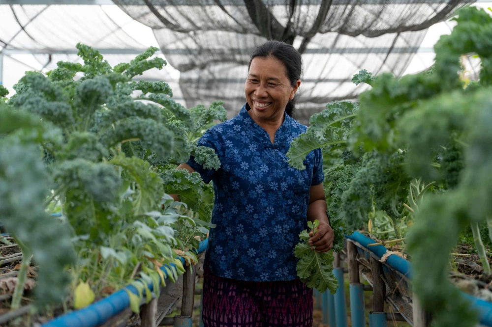 GULF Partners with Royal Initiative Discovery Foundation to Empower  Udon Thani Communities through Solar-Powered Water Innovation